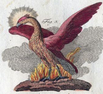 Pasărea Phoenix