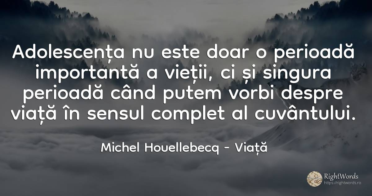 Adolescenta nu este doar o perioada importanta a vietii, ... - Michel Houellebecq, citat despre viață, adolescență, sens