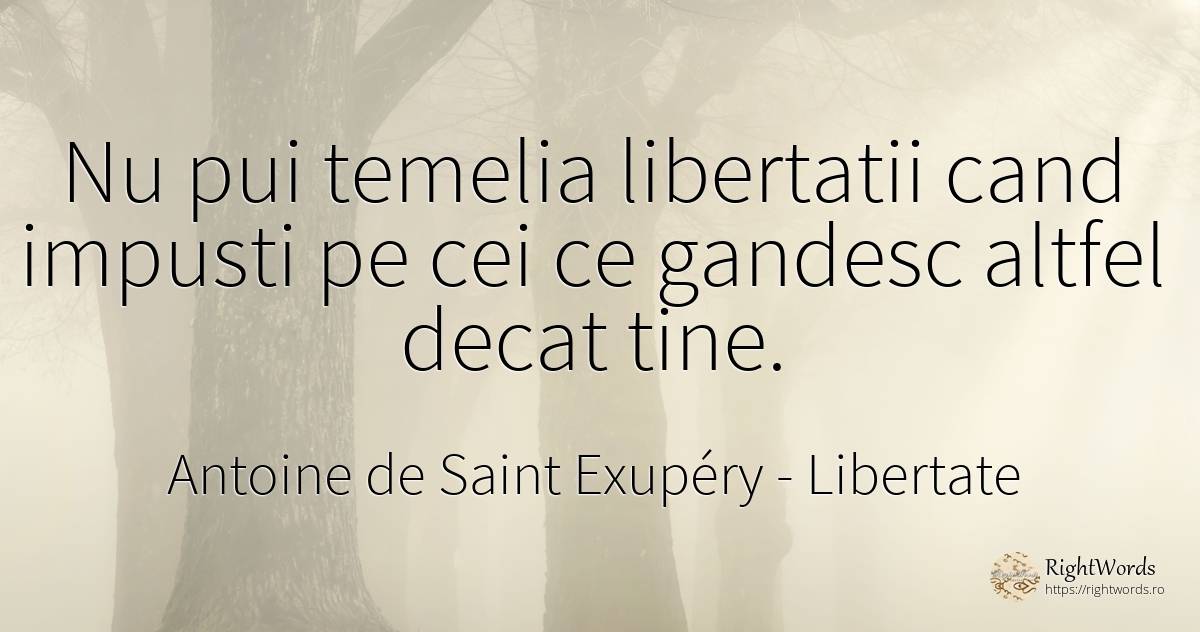 Nu pui temelia libertatii cand impusti pe cei ce gandesc... - Antoine de Saint Exupéry (Exuperry), citat despre libertate