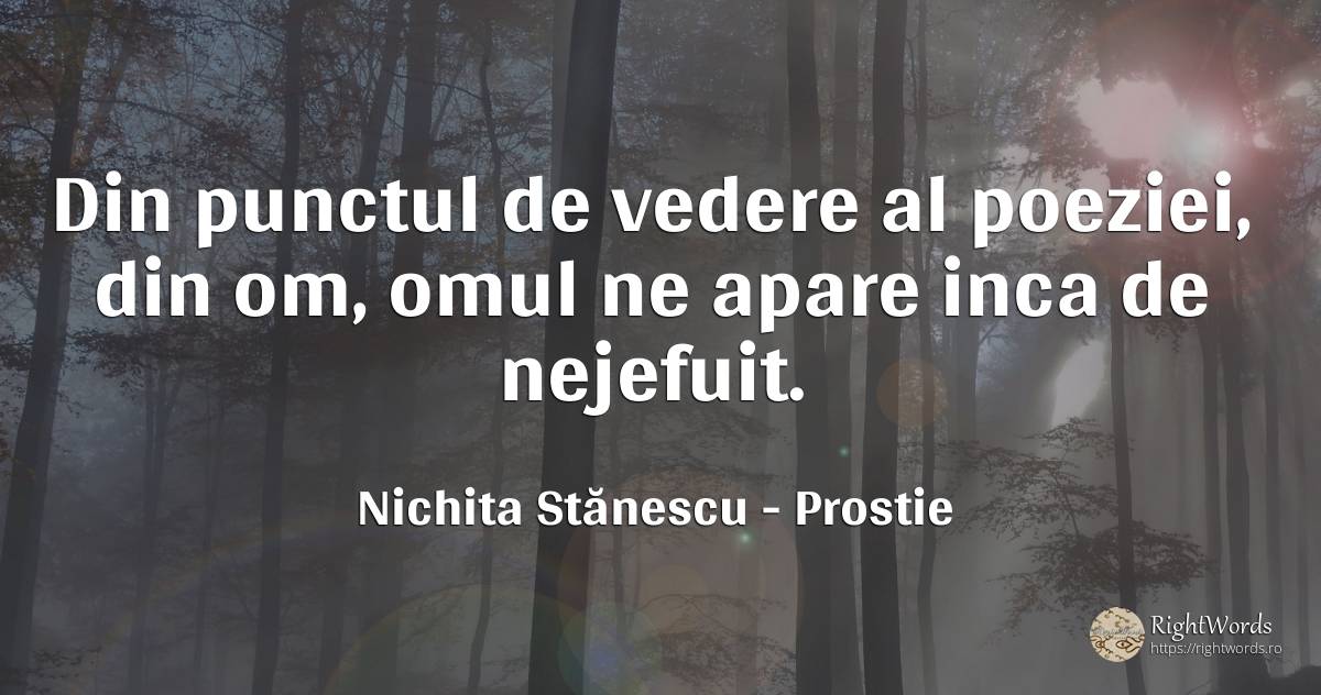 Din punctul de vedere al poeziei, din om, omul ne apare... - Nichita Stănescu, citat despre prostie, oameni