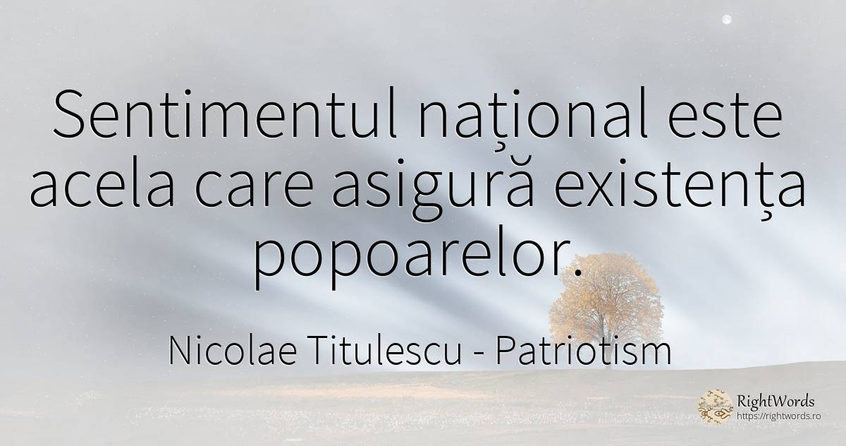 Sentimentul național este acela care asigură existența... - Nicolae Titulescu, citat despre patriotism, sentimente, existență