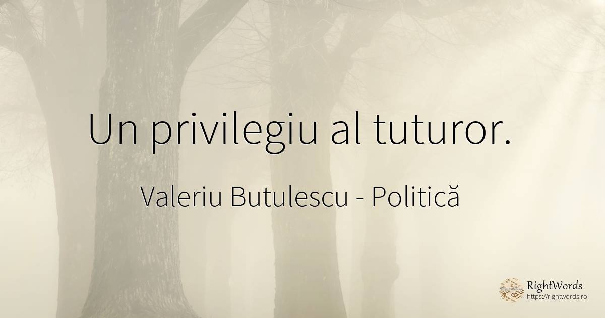Un privilegiu al tuturor. - Valeriu Butulescu, citat despre politică