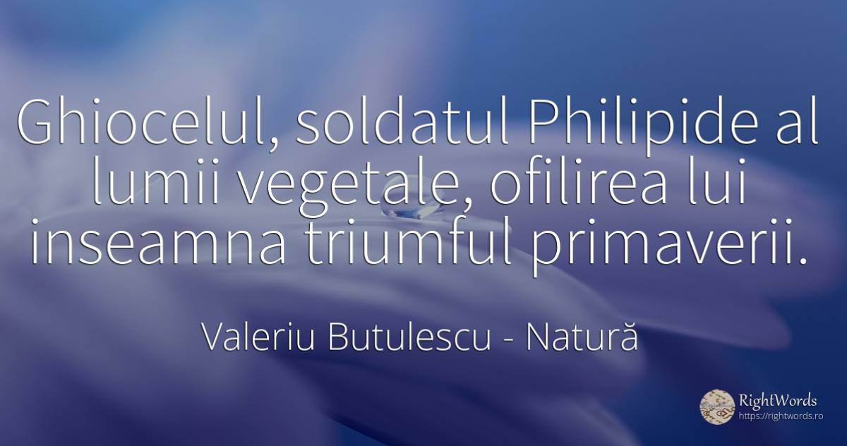Ghiocelul, soldatul Philipide al lumii vegetale, ofilirea... - Valeriu Butulescu, citat despre natură