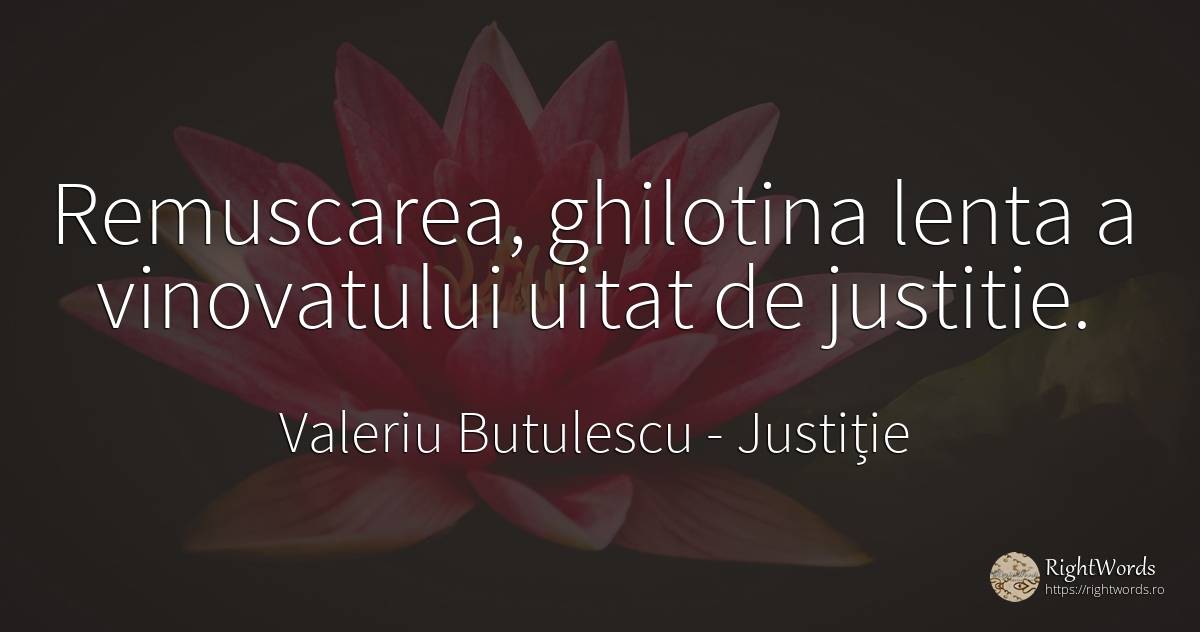 Remuscarea, ghilotina lenta a vinovatului uitat de justitie. - Valeriu Butulescu, citat despre justiție, uitare