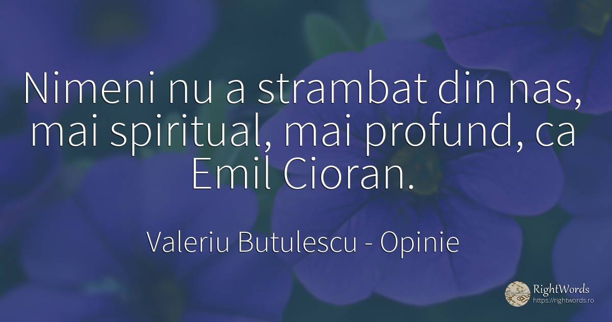Nimeni nu a strambat din nas, mai spiritual, mai profund, ... - Valeriu Butulescu, citat despre opinie