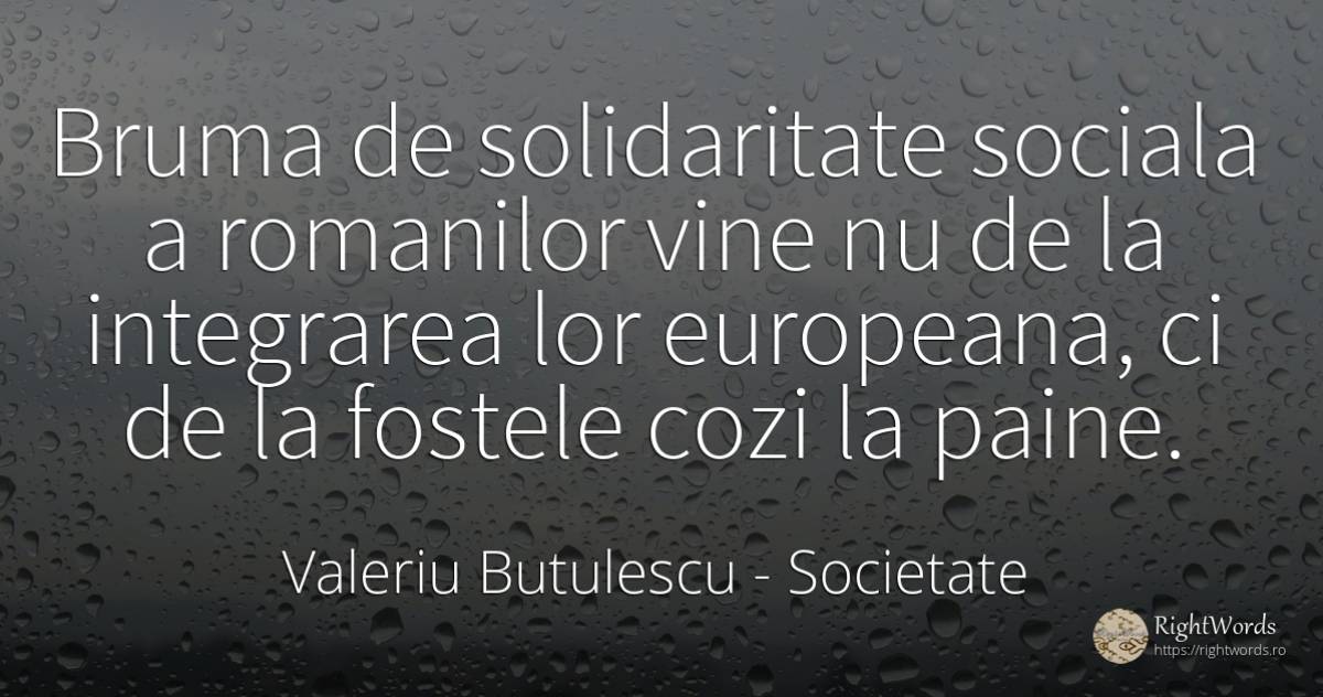 Bruma de solidaritate sociala a romanilor vine nu de la... - Valeriu Butulescu, citat despre societate