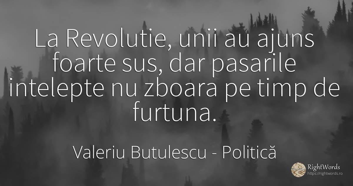 La Revolutie, unii au ajuns foarte sus, dar pasarile... - Valeriu Butulescu, citat despre politică, revoluție, zbor, timp