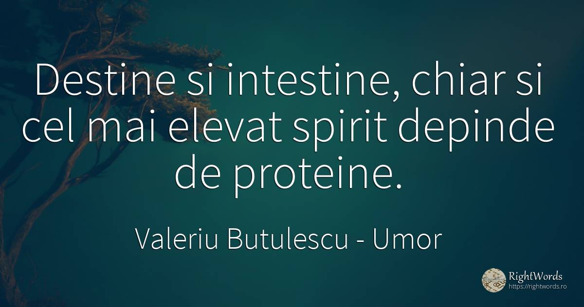 Destine si intestine, chiar si cel mai elevat spirit... - Valeriu Butulescu, citat despre umor, spirit