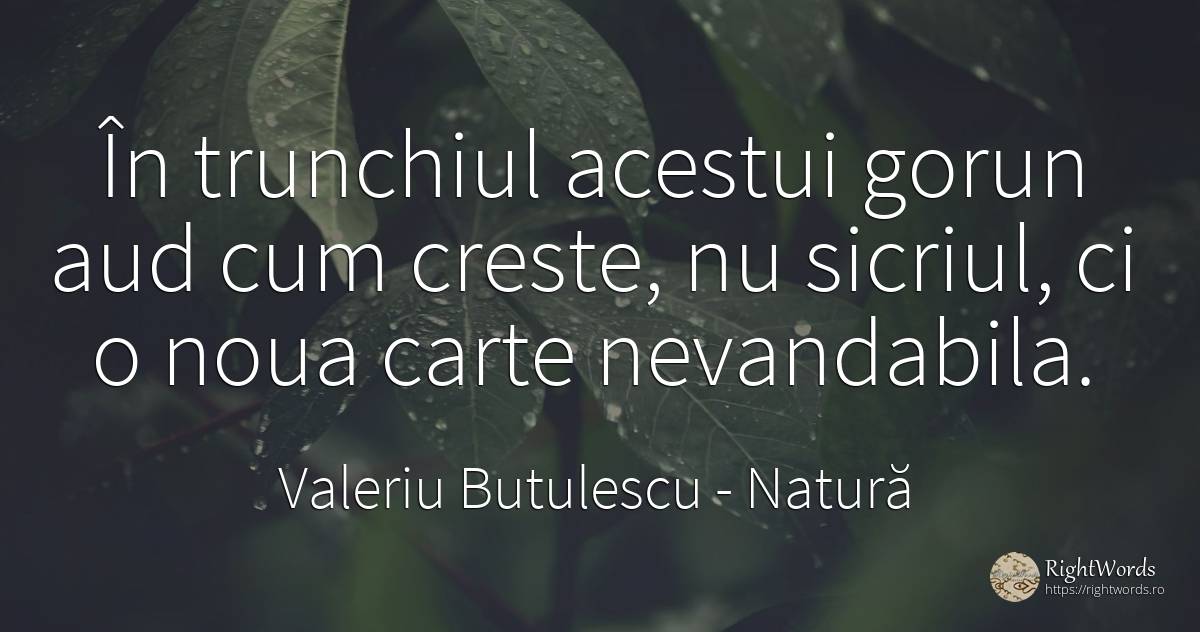 În trunchiul acestui gorun aud cum creste, nu sicriul, ci... - Valeriu Butulescu, citat despre natură