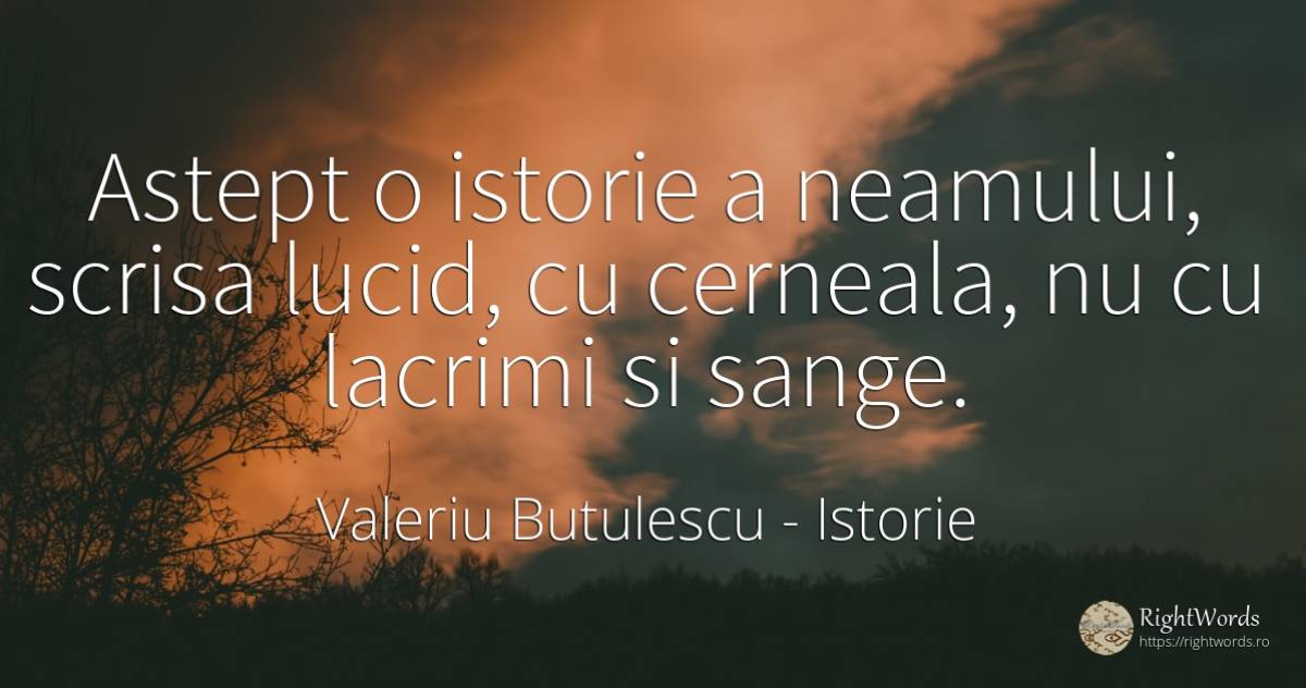 Astept o istorie a neamului, scrisa lucid, cu cerneala, ... - Valeriu Butulescu, citat despre istorie, luciditate, sânge, lacrimi