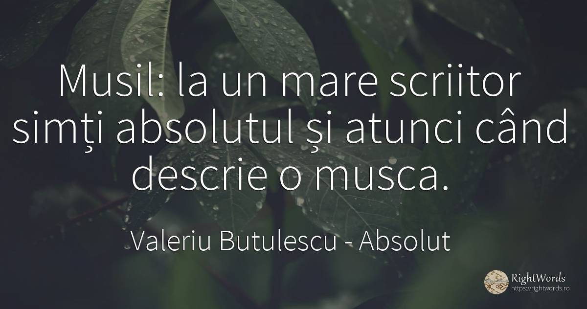 Musil: la un mare scriitor simți absolutul și atunci când... - Valeriu Butulescu, citat despre absolut, scriitori