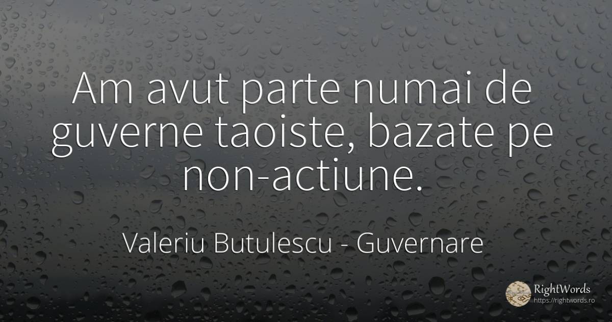 Am avut parte numai de guverne taoiste, bazate pe... - Valeriu Butulescu, citat despre guvernare, acțiune