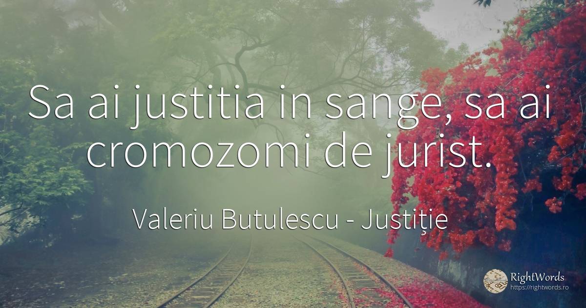 Sa ai justitia in sange, sa ai cromozomi de jurist. - Valeriu Butulescu, citat despre justiție, sânge