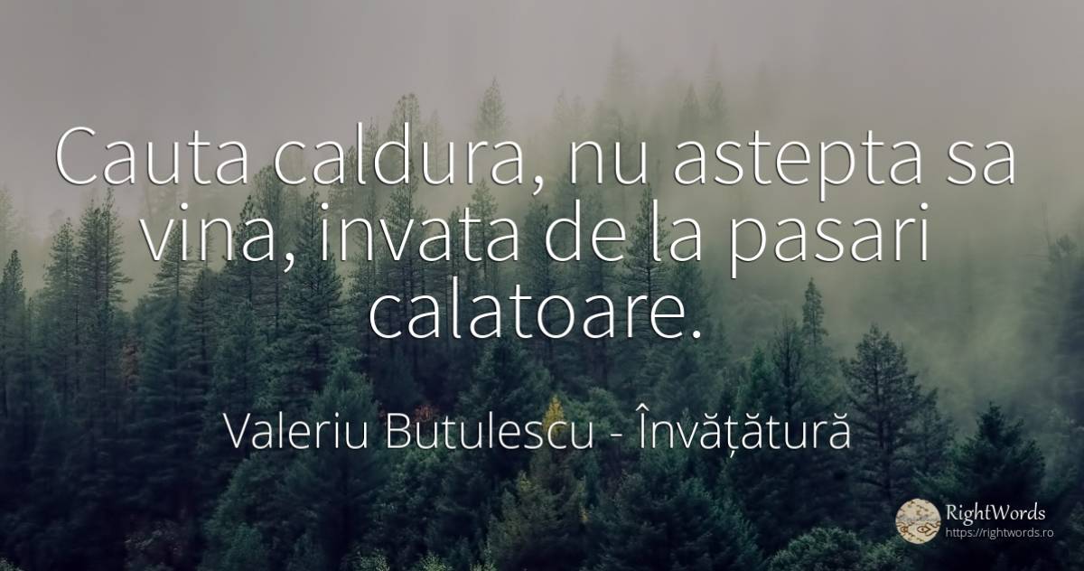 Cauta caldura, nu astepta sa vina, invata de la pasari... - Valeriu Butulescu, citat despre învățătură, vinovăție, bucurie, căutare