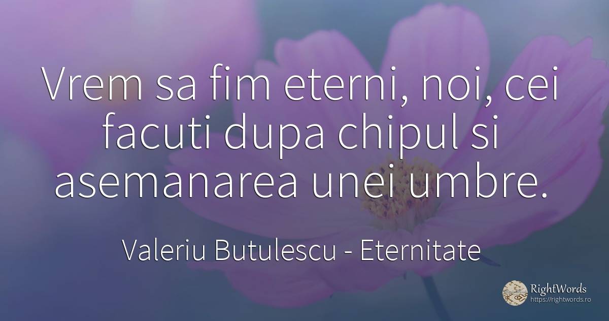 Vrem sa fim eterni, noi, cei facuti dupa chipul si... - Valeriu Butulescu, citat despre eternitate, umbră, bucurie