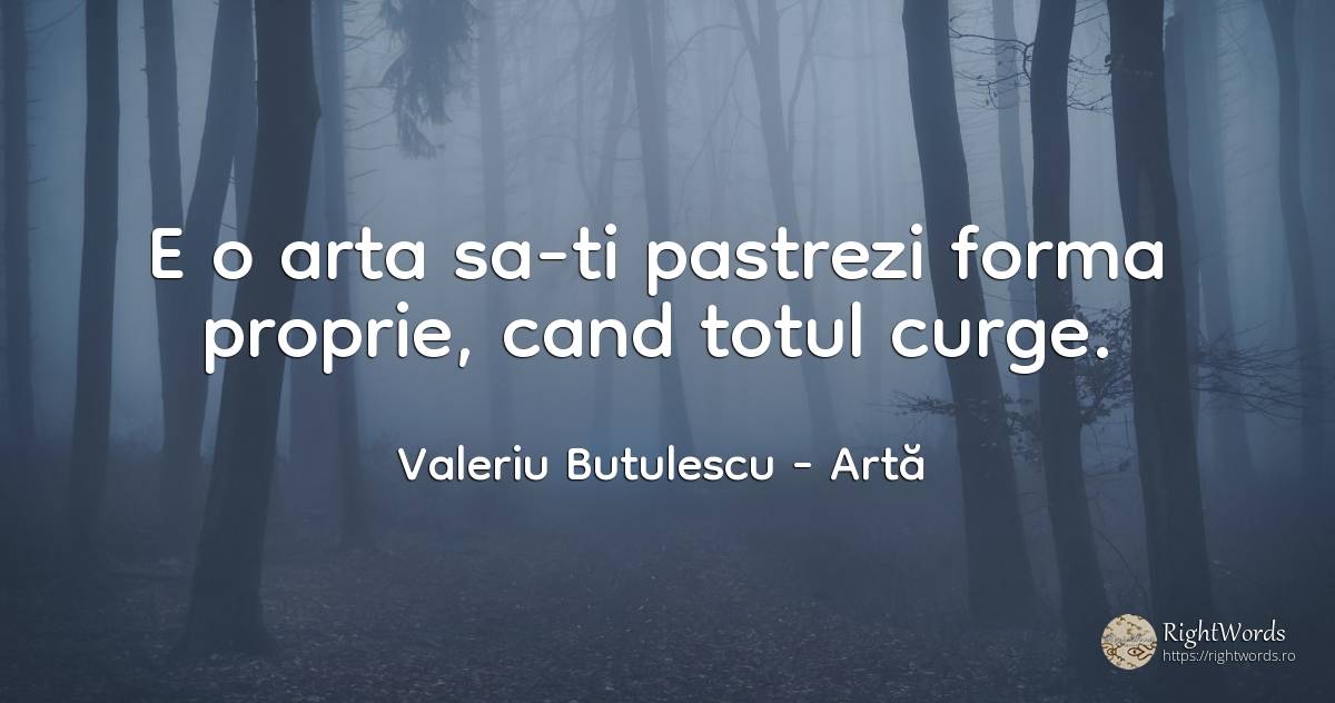 E o arta sa-ti pastrezi forma proprie, cand totul curge. - Valeriu Butulescu, citat despre artă, toamnă, rai, artă fotografică