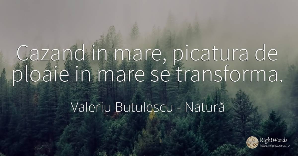 Cazand in mare, picatura de ploaie in mare se transforma. - Valeriu Butulescu, citat despre natură, ploaie, toamnă, schimbare, rai