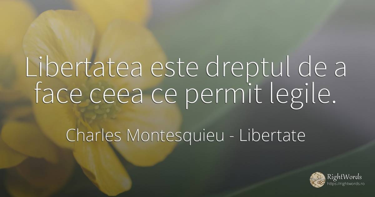 Libertatea este dreptul de a face ceea ce permit legile. - Charles Montesquieu, citat despre libertate, lege
