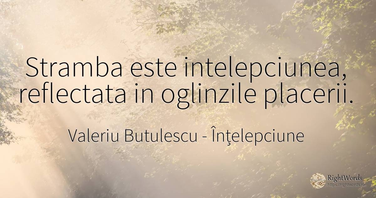 Stramba este intelepciunea, reflectata in oglinzile... - Valeriu Butulescu, citat despre înțelepciune