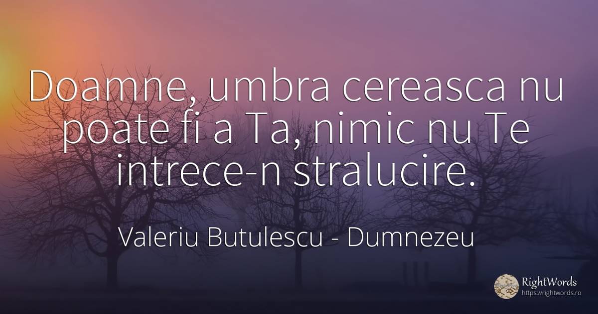 Doamne, umbra cereasca nu poate fi a Ta, nimic nu Te... - Valeriu Butulescu, citat despre dumnezeu, umbră, nimic