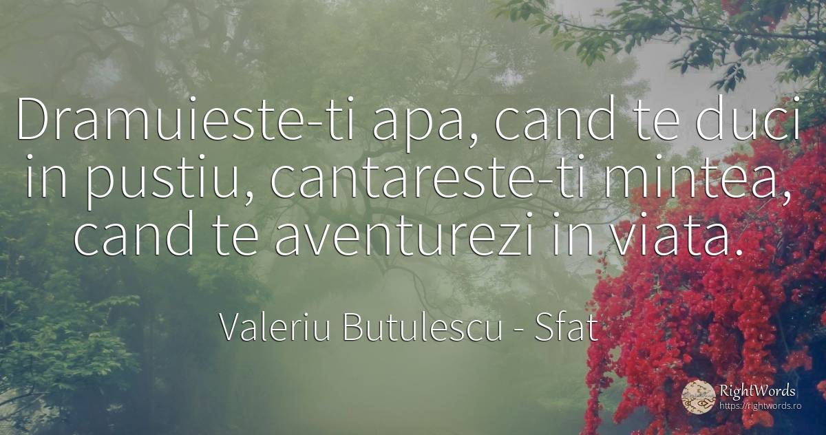Dramuieste-ti apa, cand te duci in pustiu, cantareste-ti... - Valeriu Butulescu, citat despre sfat, minte, apă, viață