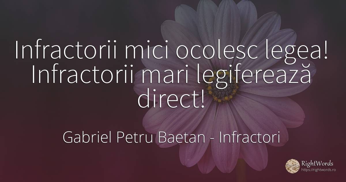 Infractorii mici ocolesc legea! Infractorii mari... - Gabriel Petru Baetan, citat despre infractori, lege