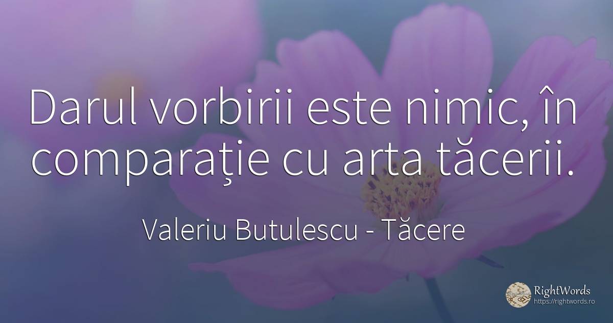 Darul vorbirii este nimic, în comparație cu arta tăcerii. - Valeriu Butulescu, citat despre tăcere, cadouri, artă, artă fotografică, nimic