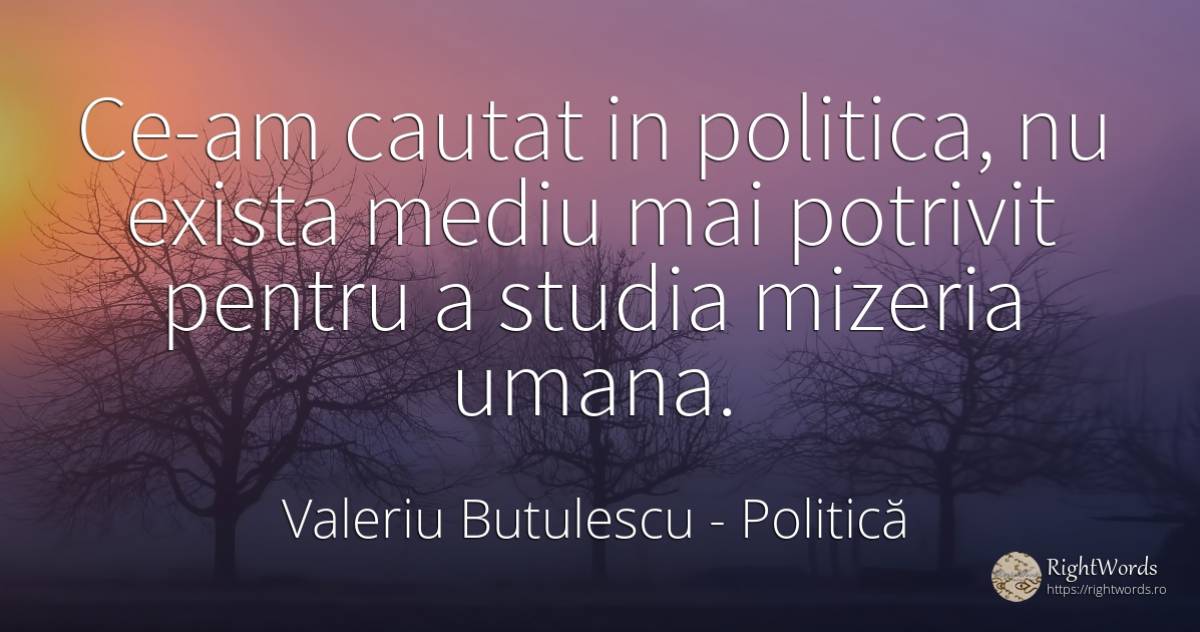 Ce-am căutat în politică, nu există mediu mai potrivit... - Valeriu Butulescu, citat despre politică