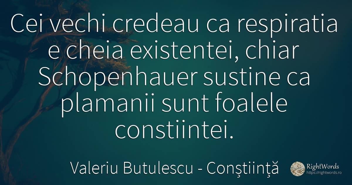 Cei vechi credeau ca respiratia e cheia existentei, chiar... - Valeriu Butulescu, citat despre conștiință, vechi