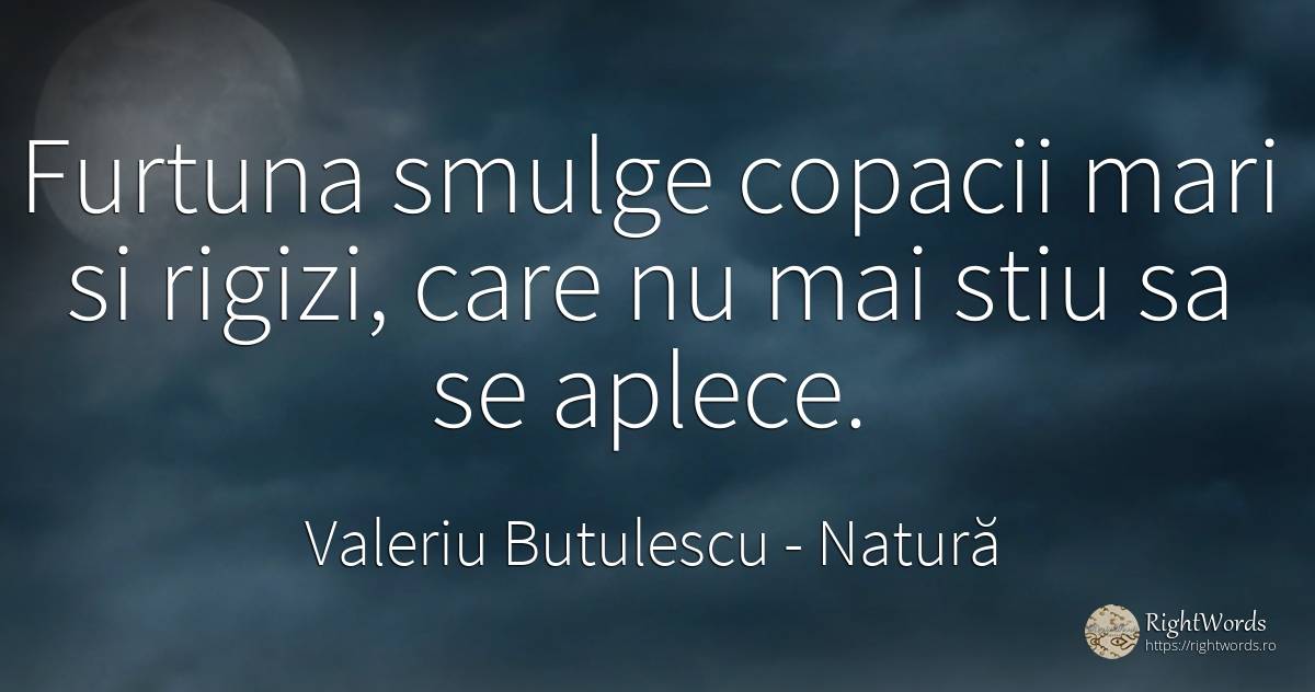 Furtuna smulge copacii mari si rigizi, care nu mai stiu... - Valeriu Butulescu, citat despre natură