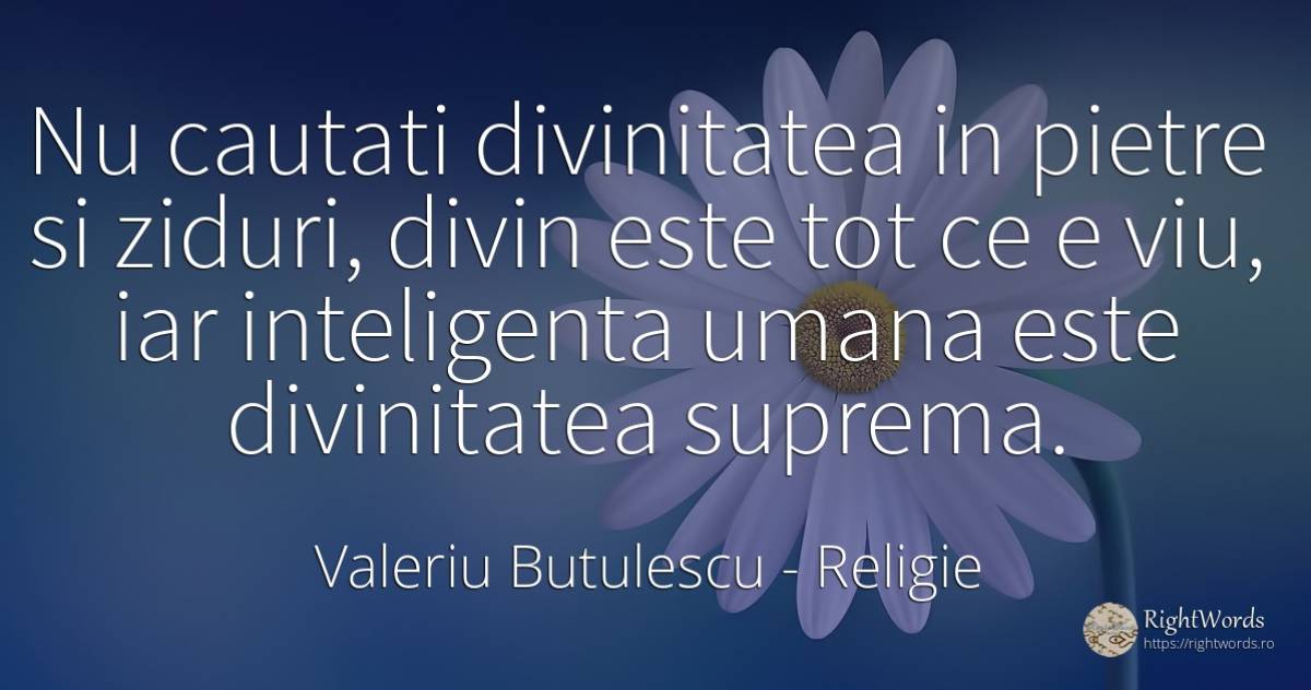 Nu cautati divinitatea in pietre si ziduri, divin este... - Valeriu Butulescu, citat despre religie, dumnezeu, pietre, inteligență
