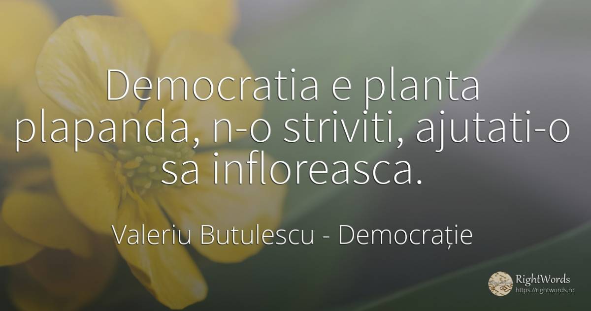 Democratia e planta plapanda, n-o striviti, ajutati-o sa... - Valeriu Butulescu, citat despre democrație