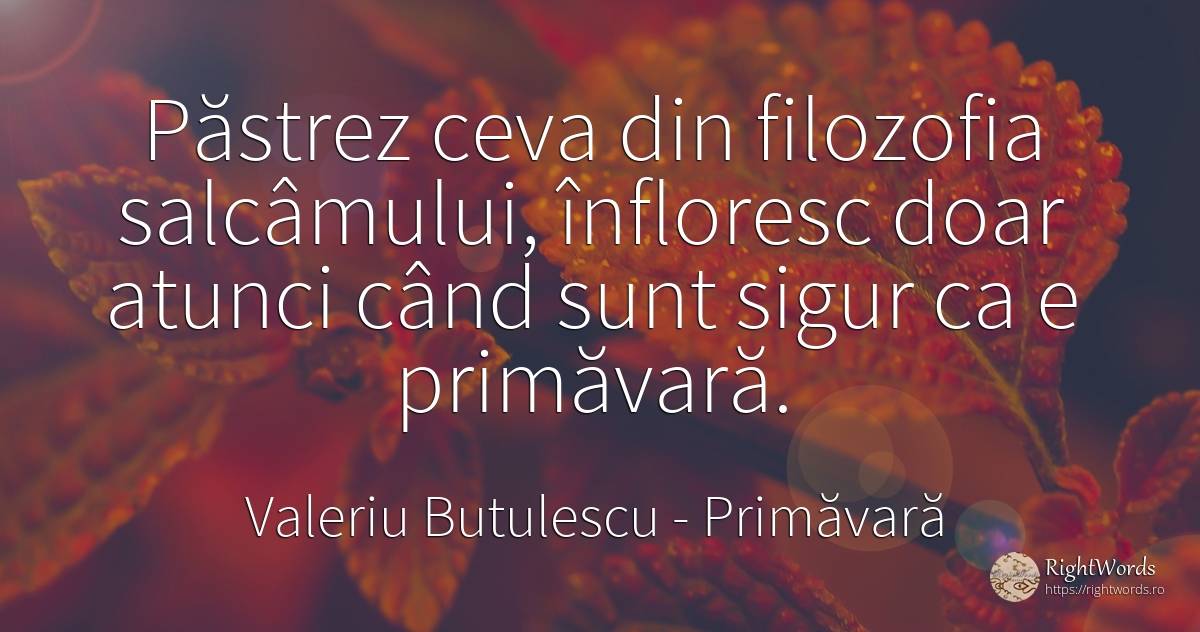 Păstrez ceva din filozofia salcâmului, înfloresc doar... - Valeriu Butulescu, citat despre filozofie, primăvară, siguranță
