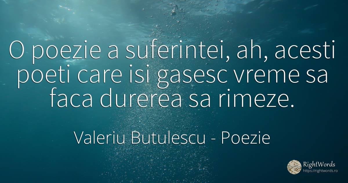 O poezie a suferintei, ah, acesti poeti care isi gasesc... - Valeriu Butulescu, citat despre poezie, poeți, durere, vreme