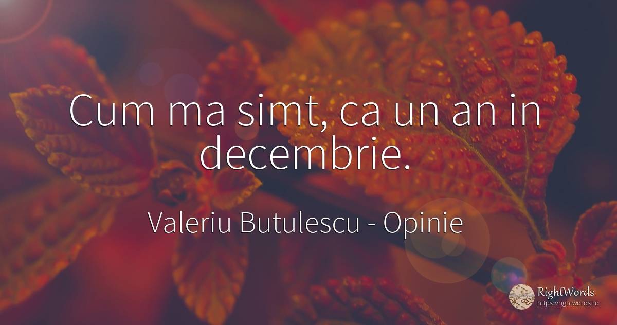 Cum ma simt, ca un an in decembrie. - Valeriu Butulescu, citat despre opinie, bunul simț, simț