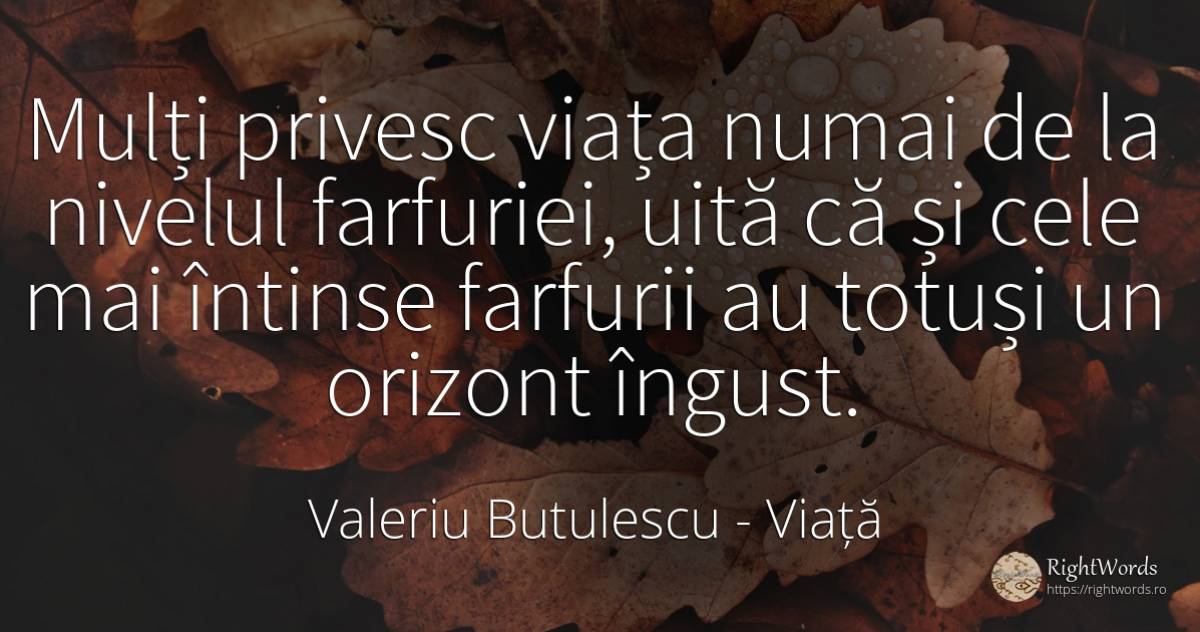Mulți privesc viața numai de la nivelul farfuriei, uită... - Valeriu Butulescu, citat despre viață, uitare