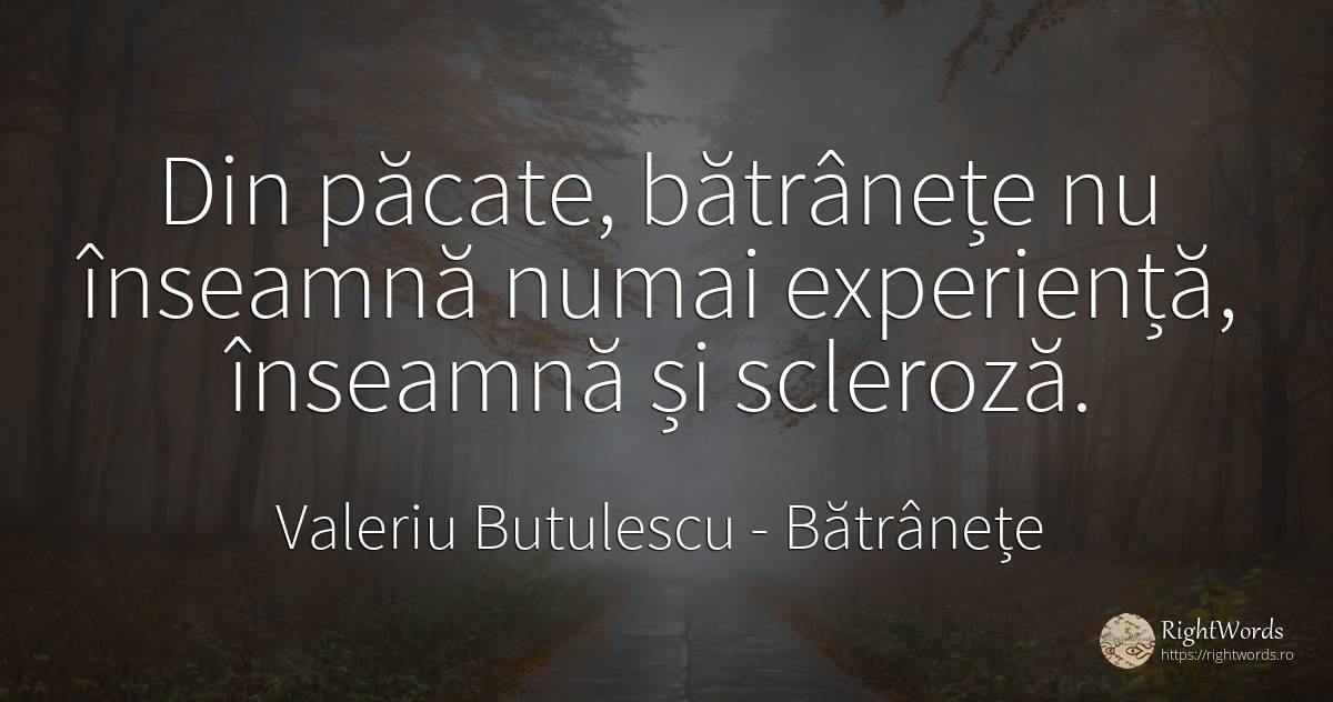 Din păcate, bătrânețe nu înseamnă numai experiență, ... - Valeriu Butulescu, citat despre bătrânețe, păcat, experiență