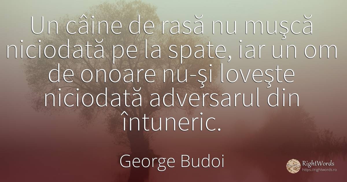 Un câine de rasă nu muşcă niciodată pe la spate, iar un... - George Budoi