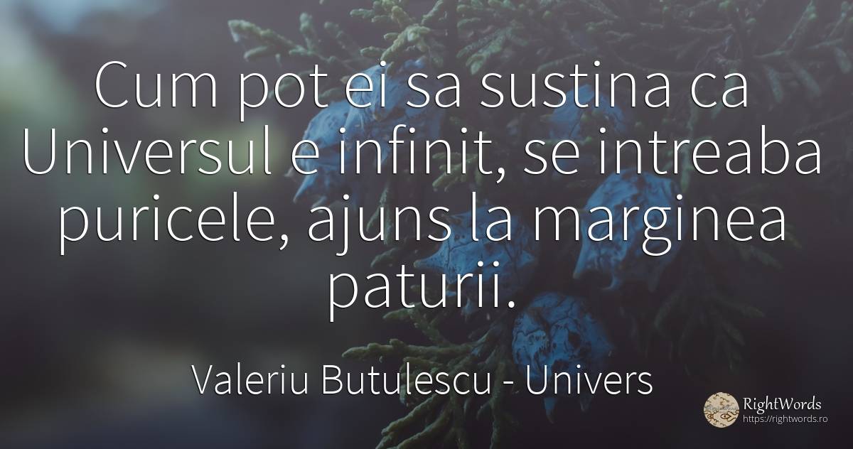 Cum pot ei sa sustina ca Universul e infinit, se intreaba... - Valeriu Butulescu, citat despre univers, infinit
