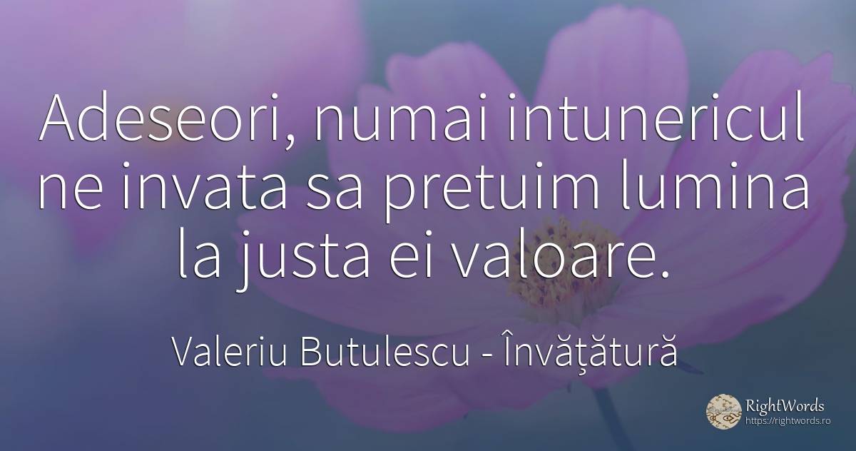 Adeseori, numai intunericul ne invata sa pretuim lumina... - Valeriu Butulescu, citat despre învățătură, întuneric, valoare, lumină