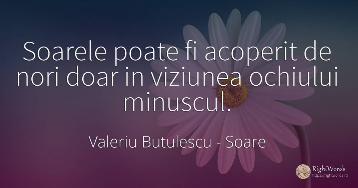 Soarele poate fi acoperit de nori doar in viziunea... - Valeriu Butulescu, citat despre soare, viziune