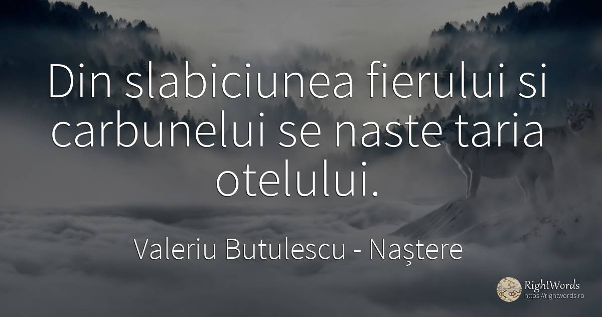 Din slabiciunea fierului si carbunelui se naste taria... - Valeriu Butulescu, citat despre naștere, slăbiciune