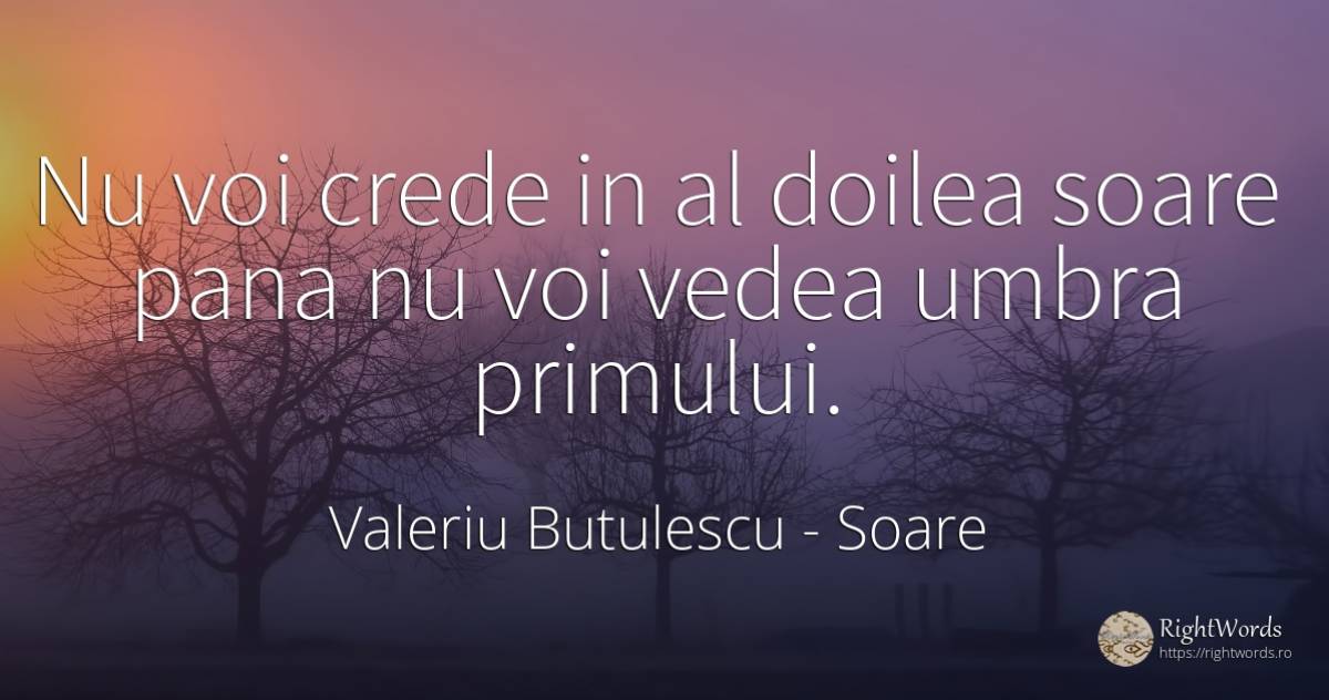 Nu voi crede in al doilea soare pana nu voi vedea umbra... - Valeriu Butulescu, citat despre soare, umbră