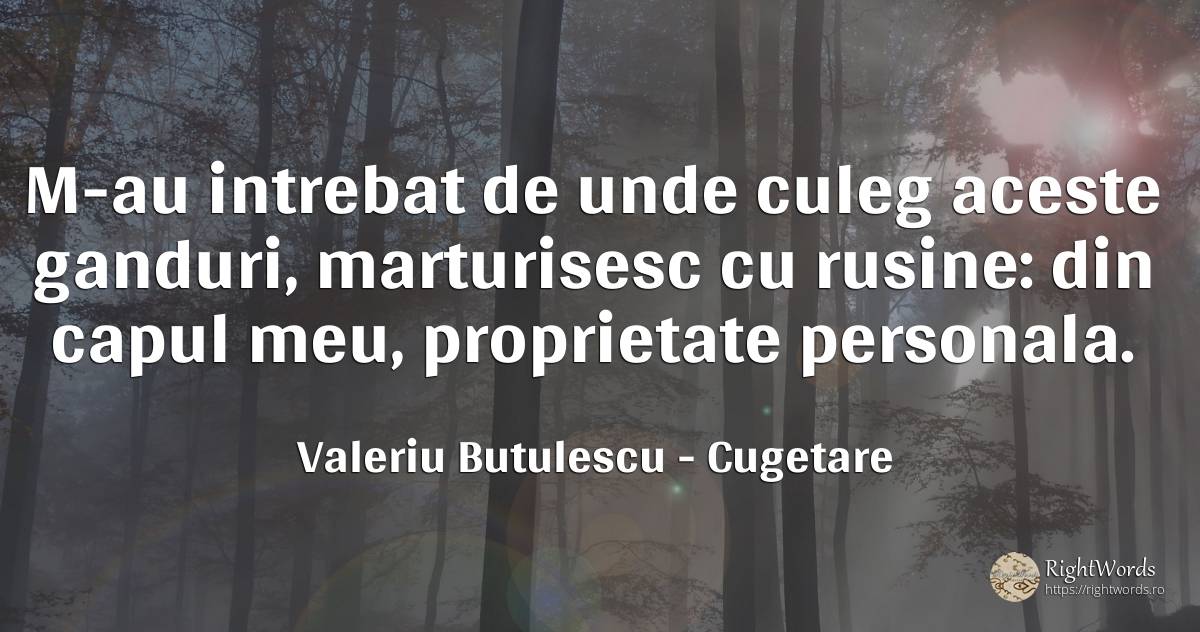 M-au intrebat de unde culeg aceste ganduri, marturisesc... - Valeriu Butulescu, citat despre cugetare, rușine