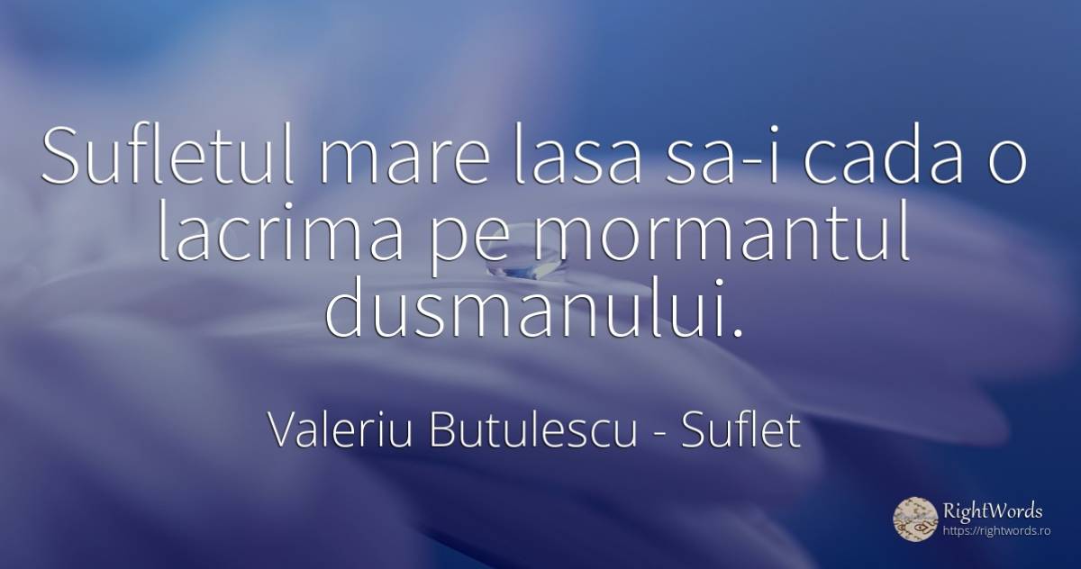 Sufletul mare lasa sa-i cada o lacrima pe mormantul... - Valeriu Butulescu, citat despre suflet, lacrimi