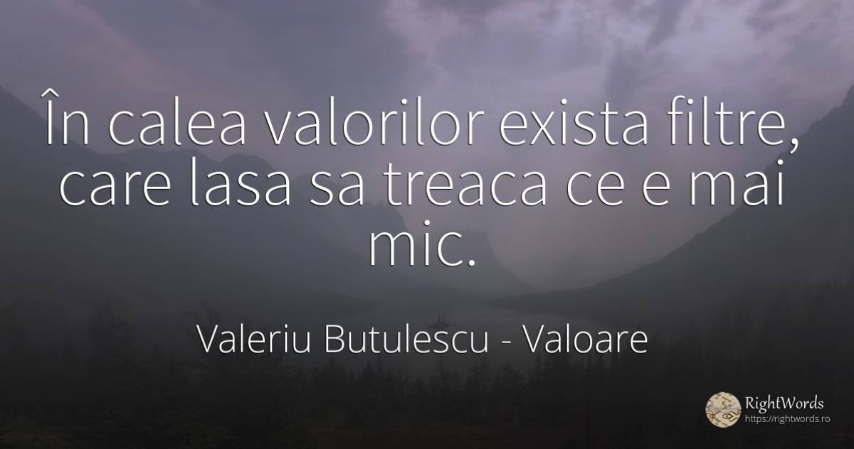 În calea valorilor exista filtre, care lasa sa treaca ce... - Valeriu Butulescu, citat despre valoare
