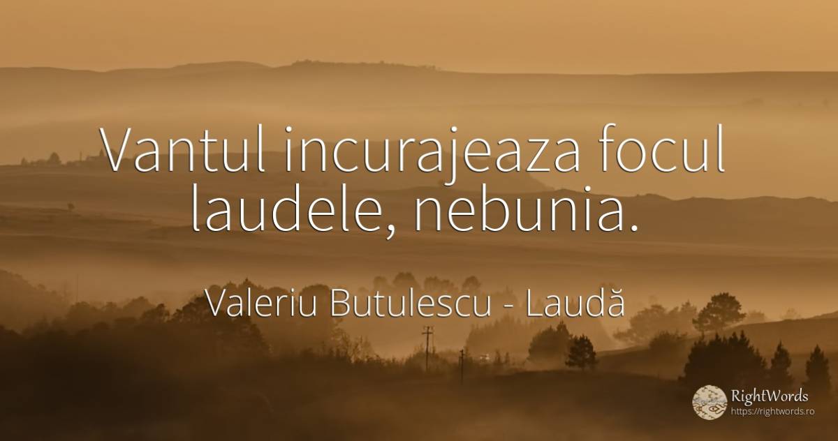 Vantul incurajeaza focul laudele, nebunia. - Valeriu Butulescu, citat despre laudă, încurajare, nebunie, foc