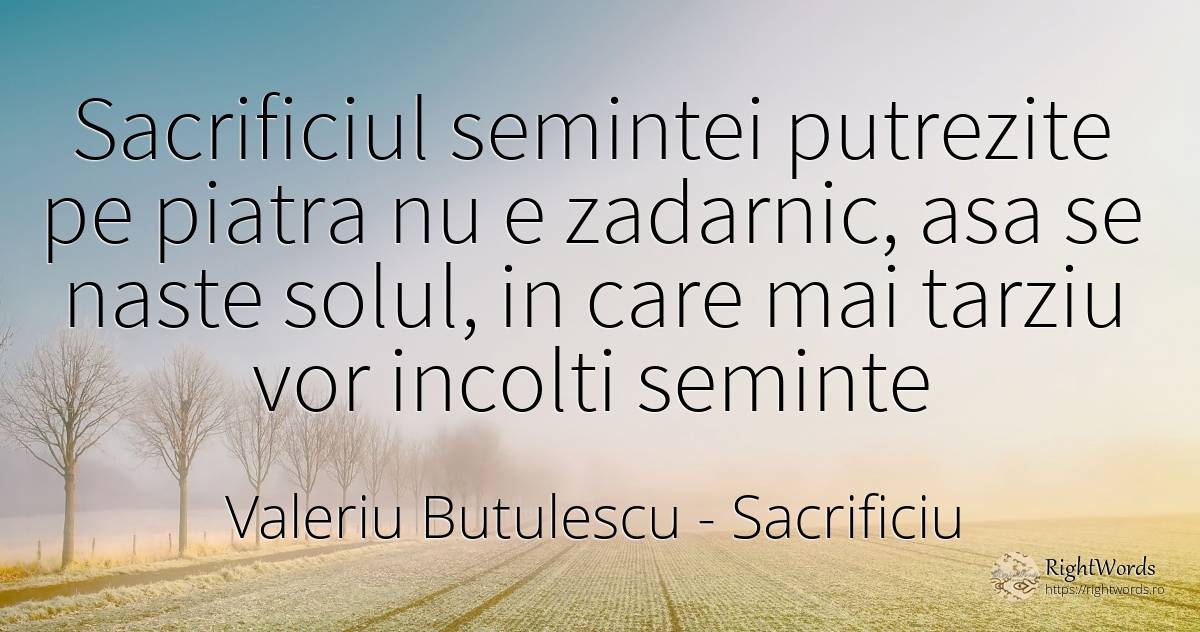 Sacrificiul semintei putrezite pe piatra nu e zadarnic, ... - Valeriu Butulescu, citat despre sacrificiu, pietre