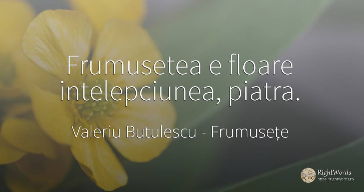 Frumusetea e floare intelepciunea, piatra. - Valeriu Butulescu, citat despre frumusețe, înțelepciune, pietre
