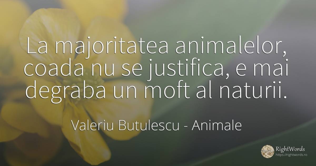 La majoritatea animalelor, coada nu se justifica, e mai... - Valeriu Butulescu, citat despre animale